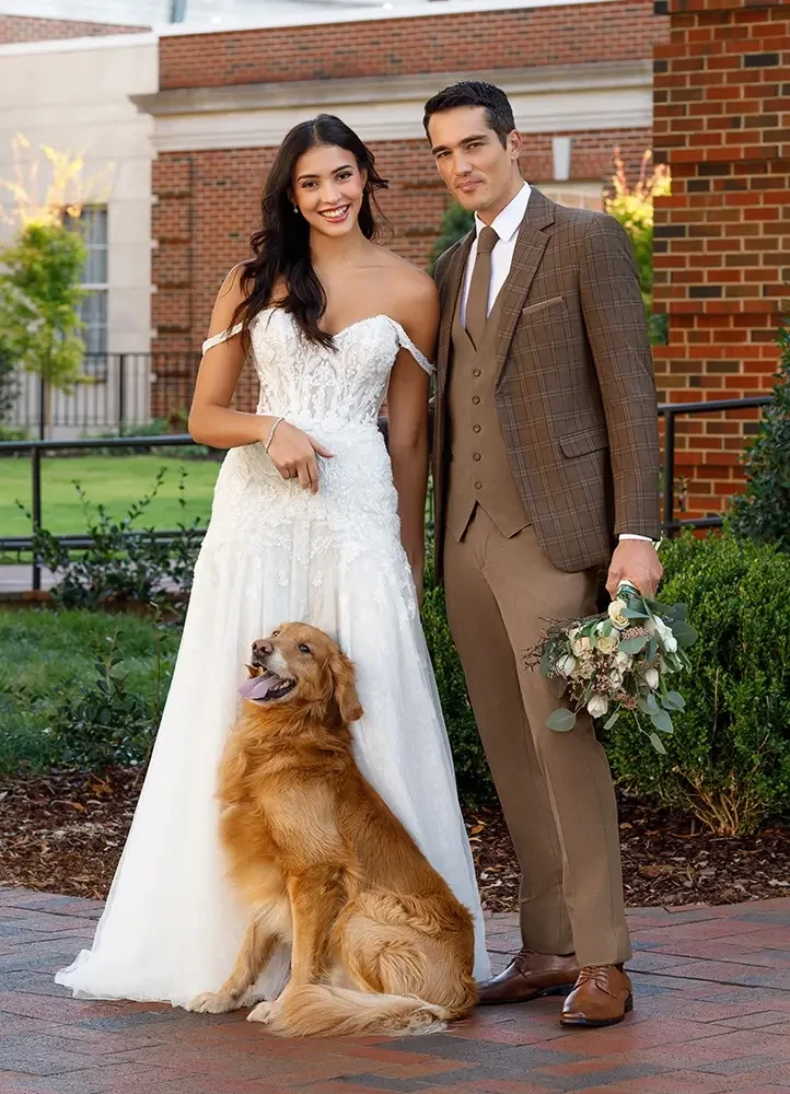 Gallery Image #slidesGrid7